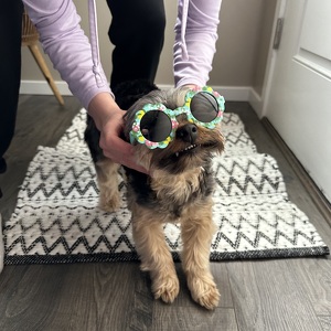 Fundraising Page: Clowie Schweihofer